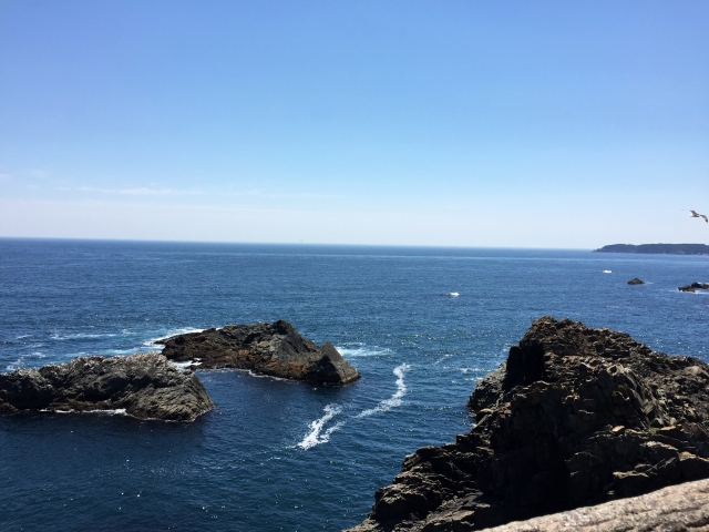 海からの恩恵を未来につなぐプロジェクト